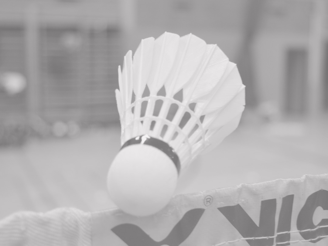 (c) Badminton-mv.de