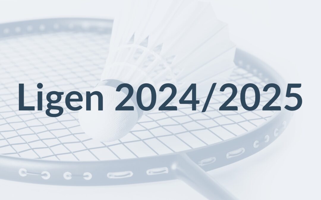 Bericht aus den Ligen des BVMV 2024/25