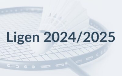 Bericht aus den Ligen des BVMV 2024/25
